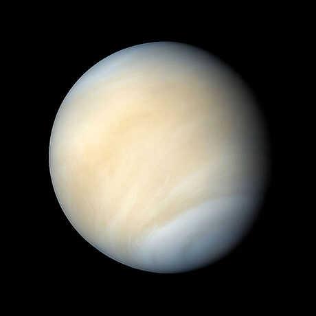 venus